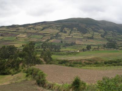 Agriculture à El Angel