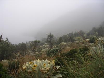 La laguna