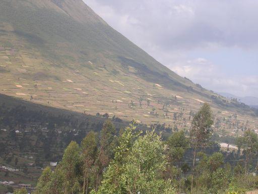 Champs sur les pentes du volcan Imbabura