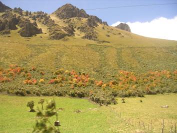 La partie basse du paramo