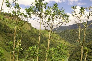 La Suisse en Equateur ?