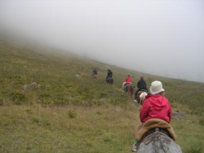 brume