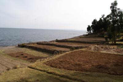 ile