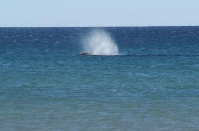 jet d'eau