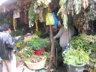 herbes