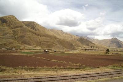 train