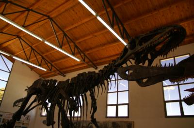 Giganotosaurus carolinii