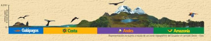 L'Equateur en coupe