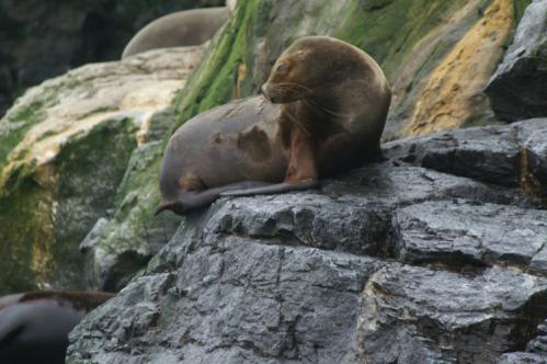 Du haut du rocher...