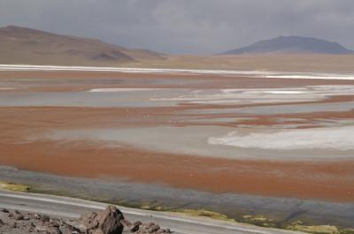 colorada