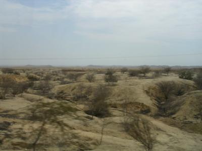 desert