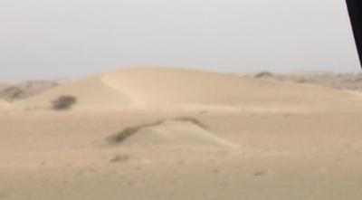 Dune