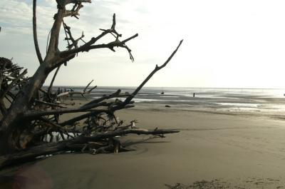 plage