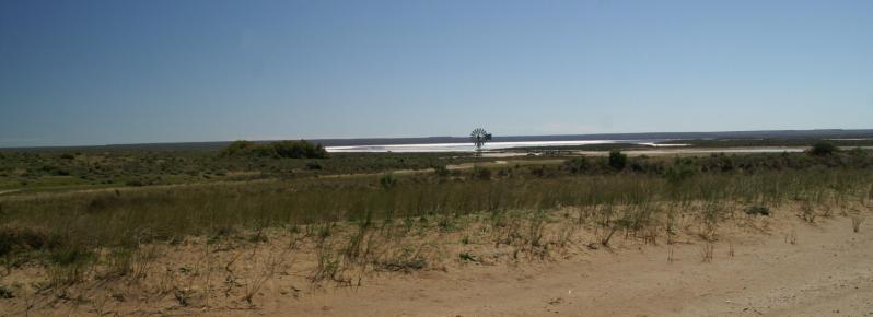 saline