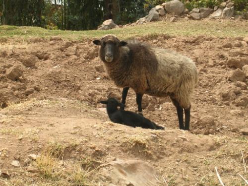 Maman-b&eacute;b&eacute;