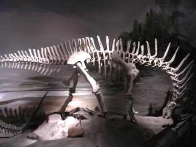 dino