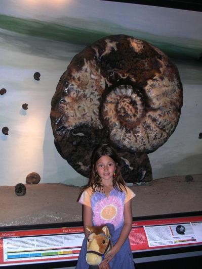 ammonite