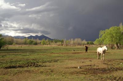 Un apercu de la Pampa
